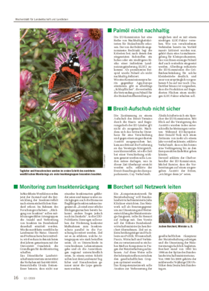 ■ Monitoring zum Insektenrückgang In Nordrhein-Westfalen werden jetzt der Zustand und die Ent- wicklung der Insektenvielfalt nach einem einheitlichen Stan- dard erfasst.