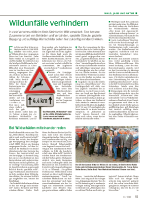 WALD, JAGD UND NATUR ■ Wildunfälle verhindern In viele Verkehrsunfälle im Kreis Steinfurt ist Wild verwickelt.