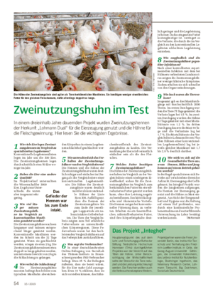 Zweinutzungshuhn im Test In einem dreieinhalb Jahre dauernden Projekt wurden Zweinutzungshennen der Herkunft „Lohmann Dual“ für die Eierzeugung genutzt und die Hähne für die Fleischgewinnung.