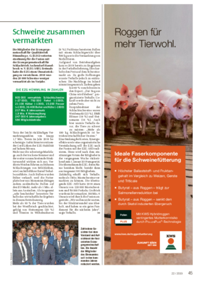 Schweine zusammen vermarkten Die Mitglieder der Erzeugerge- meinschaft für Qualitätsvieh Hümmling e.