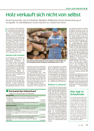 WALD, JAGD UND NATUR ■ Holz verkauft sich nicht von selbst Ab dem kommenden Jahr sind Nordrhein-Westfalens Waldbesitzer bei der Holzvermarktung auf sich gestellt.