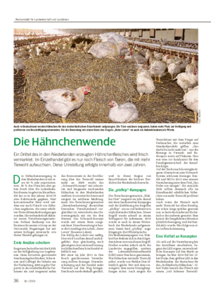 Die Hähnchenwende Ein Drittel des in den Niederlanden erzeugten Hähnchenfleisches wird frisch vermarktet.