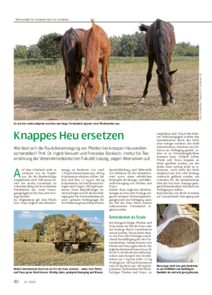 Knappes Heu ersetzen Wie lässt sich die Raufutterversorgung von Pferden bei knappen Heuvorräten sicherstellen?