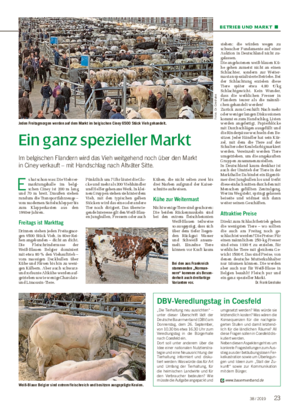 BETRIEB UND MARKT ■ Ein ganz spezieller Markt Im belgischen Flandern wird das Vieh weitgehend noch über den Markt in Ciney verkauft – mit Handschlag nach Altväter Sitte.