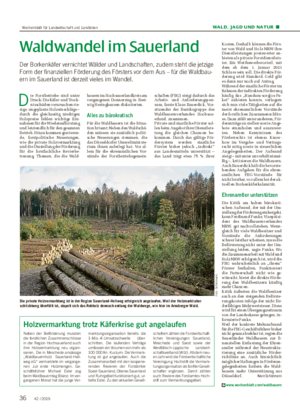 WALD, JAGD UND NATUR ■ Waldwandel im Sauerland Der Borkenkäfer vernichtet Wälder und Landschaften, zudem steht die jetzige Form der finanziellen Förderung des Försters vor dem Aus – für die Waldbau- ern im Sauerland ist derzeit vieles im Wandel.