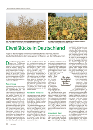Eiweißlücke in Deutschland Raps ist die wichtigste einheimische Eiweißpflanze.