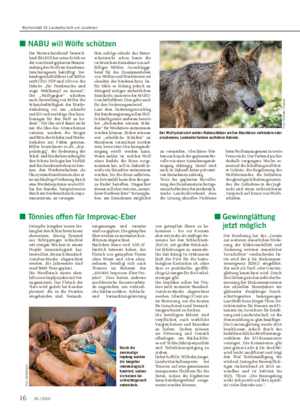 ■ NABU will Wölfe schützen Der Naturschutzbund Deutsch- land (NABU) hat seine Kritik an der vom Bund geplanten Neuein- stufung des Wolfs im Bundesna- turschutzgesetz bekräftigt.