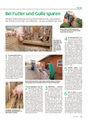 TIER ■ 1 Die eigenen Zahlen kennen: Ge- wicht, Indexpunkte oder Fleischprozente kennen alle Mäster von ihren Schweinen.