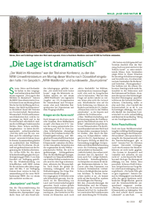 WALD, JAGD UND NATUR ■ „Die Lage ist dramatisch“ „Der Wald im Klimastress“ war der Titel einer Konferenz, zu der das NRW-Umweltministerium am Montag dieser Woche nach Düsseldorf eingela- den hatte / Im Gespräch: „NRW-Waldfonds“ und bundesweite „Baumprämie“ S turm, Dürre und Borkenkä- fer haben in den vergange- nen beiden Jahren dem Wald enorm zugesetzt.