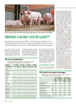Weiter runter mit N und P Wie weit lassen sich die Stickstoff(N)- und Phosphor(P)-Gehalte im Futter für Mastschweine absenken?