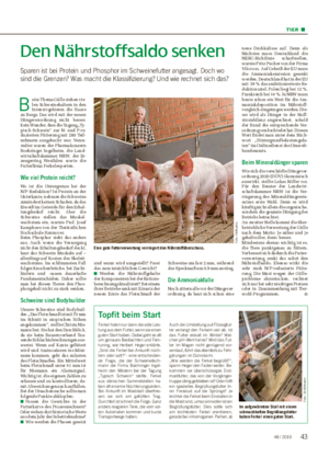 TIER ■ Den Nährstoffsaldo senken Sparen ist bei Protein und Phosphor im Schweinefutter angesagt.