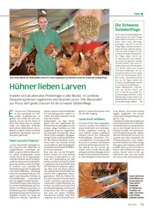 TIER ■ Hühner lieben Larven Insekten sind als alternative Proteinträger in aller Munde.
