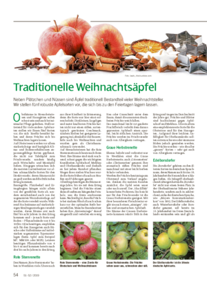 –52 / 201954 Traditionelle Weihnachtsäpfel Neben Plätzchen und Nüssen sind Äpfel traditionell Bestandteil vieler Weihnachtsteller.