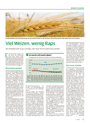 MÄRKTE 2020 ■ Viel Weizen, wenig Raps Der Getreidemarkt ist gut versorgt, aber Raps könnte bald knapp werden.