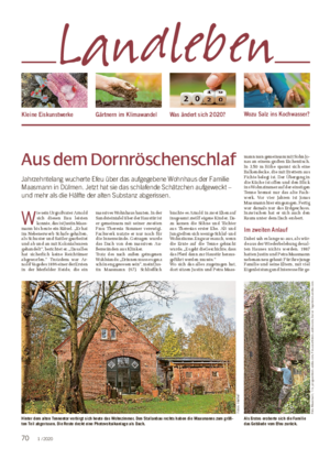 Aus dem Dornröschenschlaf Jahrzehntelang wucherte Efeu über das aufgegebene Wohnhaus der Familie Maasmann in Dülmen.