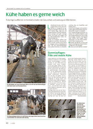 Kühe haben es gerne weich Rutschige Laufflächen im Kuhstall schaden der Gesundheit und Leistung von Milchkühen.