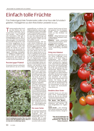 Einfach tolle Früchte Fürs Freiland gezüchtete Tomatensorten sollen ohne Haus oder Schutzdach gedeihen.
