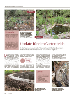 Update für den Gartenteich In drei Tagen vom verwahrlosten Wasserloch zum idyllischen Gartenteich – kostensparend und umweltschonend.