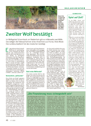 WALD, JAGD UND NATUR ■ Zweiter Wolf bestätigt Im Wolfsgebiet Schermbeck am Niederrhein gibt es mittlerweile zwei Wölfe.