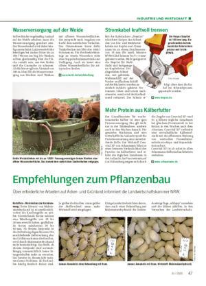 INDUSTRIE UND WIRTSCHAFT ■ Empfehlungen zum Pflanzenbau Über erforderliche Arbeiten auf Acker- und Grünland informiert die Landwirtschaftskammer NRW.
