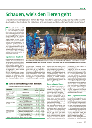 TIER ■ Schauen, wie’s den Tieren geht 14 Bio-Schweinebetriebe haben mithilfe der KTBL-Indikatoren überprüft, wie gut sie in puncto Tierwohl abschneiden.