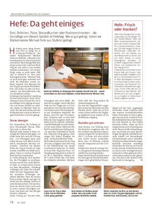 Hefe: Da geht einiges Brot, Brötchen, Pizza, Streuselkuchen oder Rosinenschnecken – die Grundlage von diesem Gebäck ist Hefeteig.