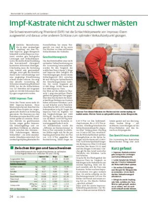 Impf-Kastrate nicht zu schwer mästen Die Schweinevermarktung Rheinland (SVR) hat die Schlachtkörperwerte von Improvac-Ebern ausgewertet und daraus unter anderem Schlüsse zum optimalen Verkaufszeitpunkt gezogen.