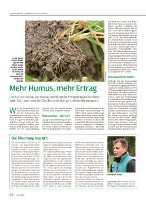 Mehr Humus, mehr Ertrag Der Auf- und Abbau von Humus beeinflusst die Ertragsfähigkeit der Böden stark.