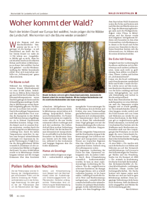 WALD IN WESTFALEN ■ Woher kommt der Wald?