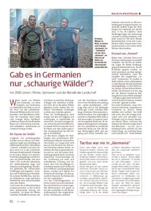 WALD IN WESTFALEN ■ Gab es in Germanien nur „schaurige Wälder“?