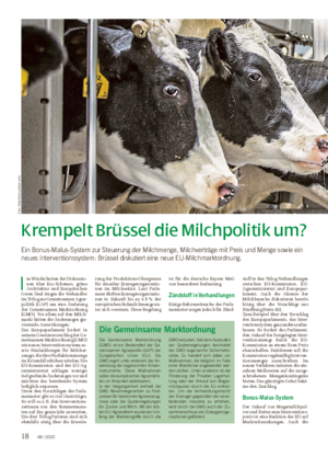 Krempelt Brüssel die Milchpolitik um?