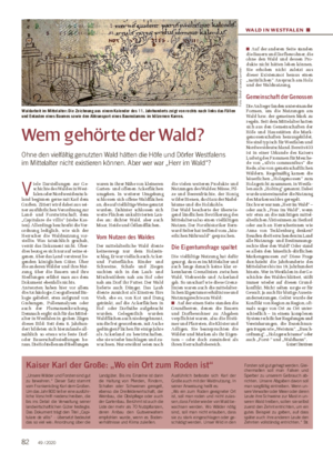 WALD IN WESTFALEN ■ Wem gehörte der Wald?
