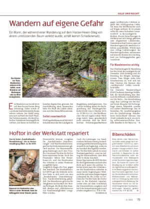 GELD UND RECHT Wandern auf eigene Gefahr Ein Mann, der während einer Wanderung auf dem Harzer-Hexen-Stieg von einem umstürzenden Baum verletzt wurde, erhält keinen Schadenersatz.