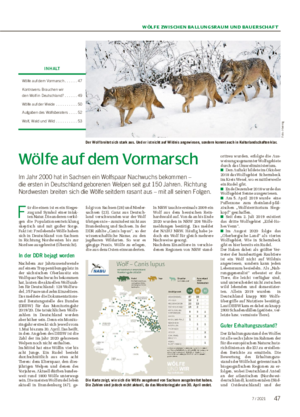 WÖLFE ZWISCHEN BALLUNGSRAUM UND BAUERSCHAFT Wölfe auf dem Vormarsch Im Jahr 2000 hat in Sachsen ein Wolfspaar Nachwuchs bekommen – die ersten in Deutschland geborenen Welpen seit gut 150 Jahren.