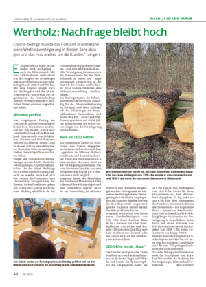 WALD, JAGD UND NATUR Wertholz: Nachfrage bleibt hoch Corona-bedingt musste das Forstamt Münsterland seine Wertholzversteigerung in diesem Jahr absa- gen und das Holz anders „an die Kunden“ bringen.