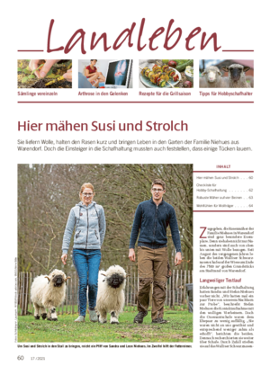 Hier mähen Susi und Strolch Sie liefern Wolle, halten den Rasen kurz und bringen Leben in den Garten der Familie Niehues aus Warendorf.