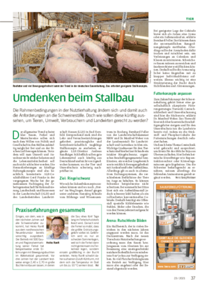 TIER Umdenken beim Stallbau Die Rahmenbedingungen in der Nutztierhaltung ändern sich und damit auch die Anforderungen an die Schweineställe.