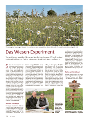 Das Wiesen-Experiment Vor zwei Jahren wandelten Nicole und Manfred Austermann 1,5 ha Ackerland in eine wilde Wiese um.
