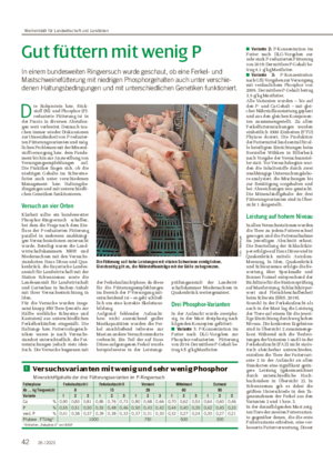 Gut füttern mit wenig P In einem bundesweiten Ringversuch wurde geschaut, ob eine Ferkel- und Mastschweinefütterung mit niedrigen Phosphorgehalten auch unter verschie- denen Haltungsbedingungen und mit unterschiedlichen Genetiken funktioniert.