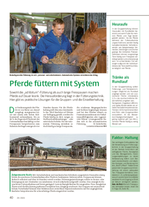 Pferde füttern mit System Sowohl die „ad libitum“-Fütterung als auch lange Fresspausen machen Pferde auf Dauer krank.