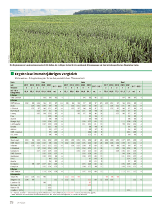 Die Ergebnisse der Landessortenversuche (LSV) helfen, die richtigen Sorten für die anstehende Weizenaussaat auf dem betriebsspezifischen Standort zu finden.