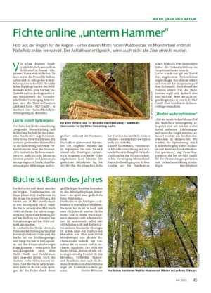 WALD, JAGD UND NATUR Fichte online „unterm Hammer“ Holz aus der Region für die Region – unter diesem Motto haben Waldbesitzer im Münsterland erstmals Nadelholz online vermarktet.