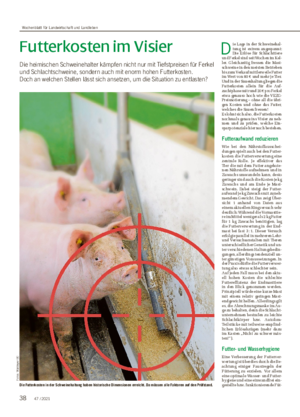 Futterkosten im Visier Die heimischen Schweinehalter kämpfen nicht nur mit Tiefstpreisen für Ferkel und Schlachtschweine, sondern auch mit enorm hohen Futterkosten.