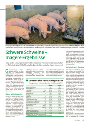 TIER Schwere Schweine – magere Ergebnisse Trotz bester Leistungen in den Ställen haben die heimischen Schweinehalter im Wirtschaftsjahr 2020/21 unbefriedigende ökonomische Ergebnisse erzielt.