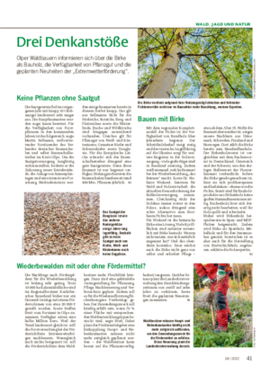 WALD, JAGD UND NATUR Drei Denkanstöße Olper Waldbauern informieren sich über die Birke als Bauholz, die Verfügbarkeit von Pflanzgut und die geplanten Neuheiten der „Extremwetterförderung“.