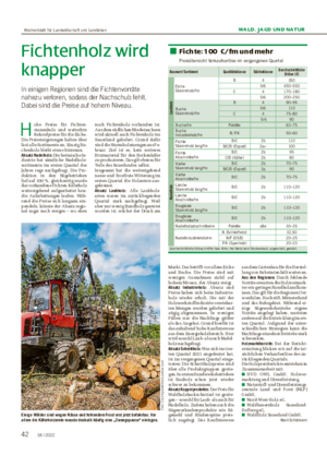 WALD, JAGD UND NATUR Fichtenholz wird knapper In einigen Regionen sind die Fichtenvorräte nahezu verloren, sodass der Nachschub fehlt.