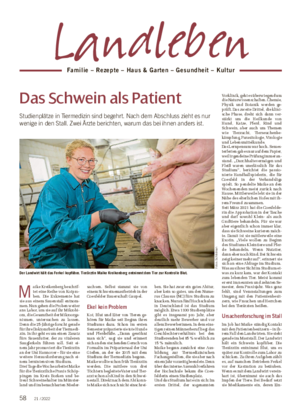 Das Schwein als Patient Studienplätze in Tiermedizin sind begehrt.