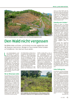 WALD, JAGD UND NATUR Den Wald nicht vergessen Bei Wildschäden auf Acker- und Grünland muss der Jagdpächter meist die Reparatur übernehmen.