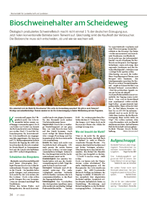 Bioschweinehalter am Scheideweg Ökologisch produziertes Schweinefleisch macht nicht einmal 1 % der deutschen Erzeugung aus.
