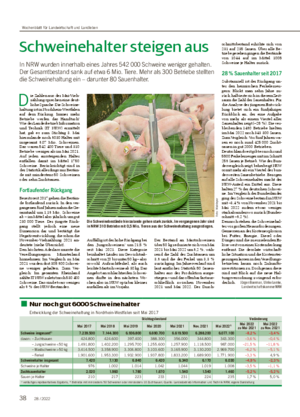 Schweinehalter steigen aus In NRW wurden innerhalb eines Jahres 542 000 Schweine weniger gehalten.